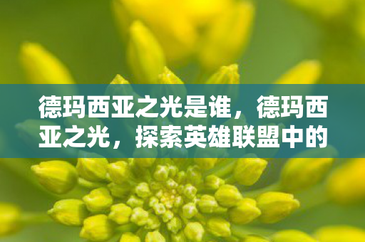 德玛西亚之光是谁，德玛西亚之光，探索英雄联盟中的正义之地