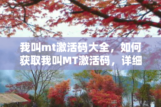 我叫mt激活码大全，如何获取我叫MT激活码，详细步骤与注意事项