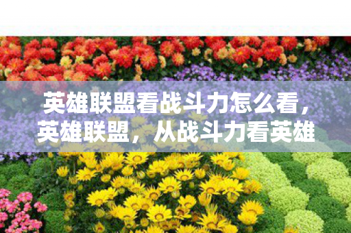 英雄联盟看战斗力怎么看，英雄联盟，从战斗力看英雄实力