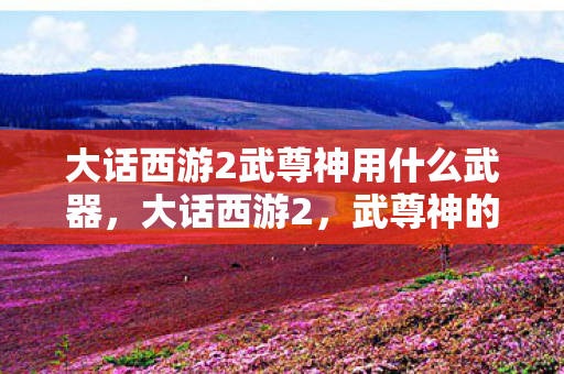 大话西游2武尊神用什么武器，大话西游2，武尊神的无尽传奇