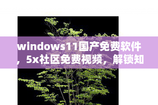 windows11国产免费软件，5x社区免费视频，解锁知识的新窗口