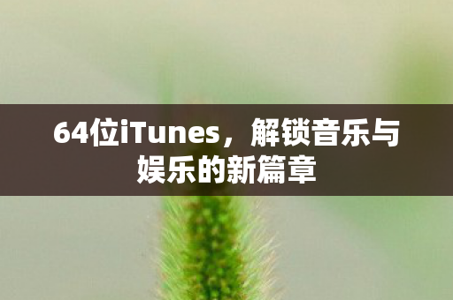64位iTunes，解锁音乐与娱乐的新篇章