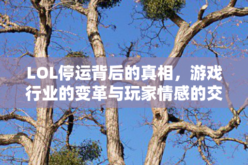 LOL停运背后的真相，游戏行业的变革与玩家情感的交织