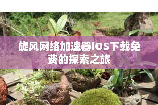 旋风网络加速器iOS下载免费的探索之旅