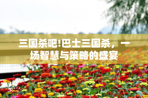 三国杀吧!巴士三国杀，一场智慧与策略的盛宴