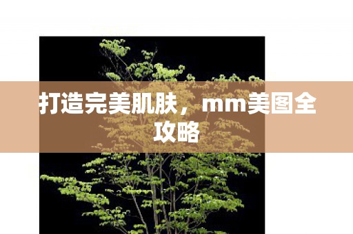 打造完美肌肤，mm美图全攻略
