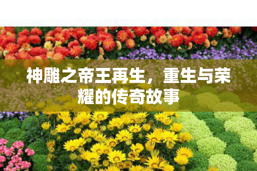 神雕之帝王再生，重生与荣耀的传奇故事
