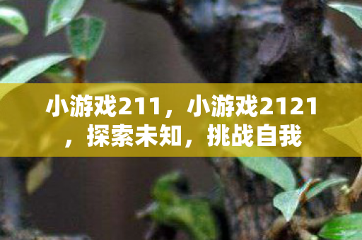 小游戏211，小游戏2121，探索未知，挑战自我