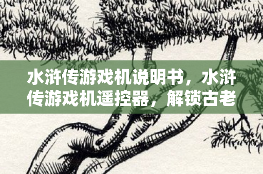 水浒传游戏机说明书，水浒传游戏机遥控器，解锁古老游戏的神秘钥匙