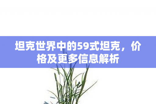 坦克世界中的59式坦克，价格及更多信息解析