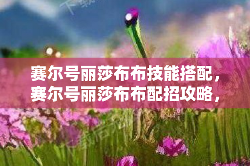 赛尔号丽莎布布技能搭配，赛尔号丽莎布布配招攻略，打造最强草系精灵