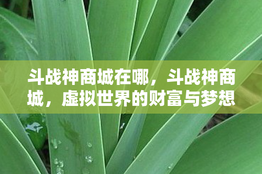 斗战神商城在哪，斗战神商城，虚拟世界的财富与梦想