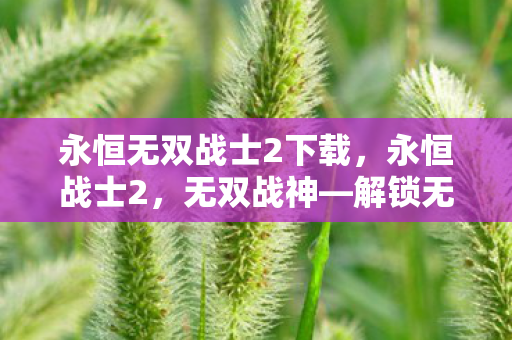 永恒无双战士2下载，永恒战士2，无双战神—解锁无限金币的传奇之旅