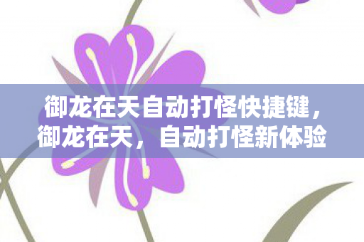 御龙在天自动打怪快捷键,御龙在天,自动打怪新体验 御龙在天自动打怪快捷键,御龙在天,自动打怪新体验