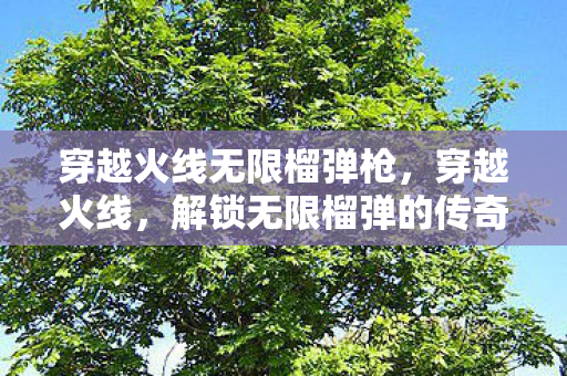 穿越火线无限榴弹枪,穿越火线,解锁无限榴弹的传奇战术 穿越火线无限榴弹枪,穿越火线,解锁无限榴弹的传奇战术