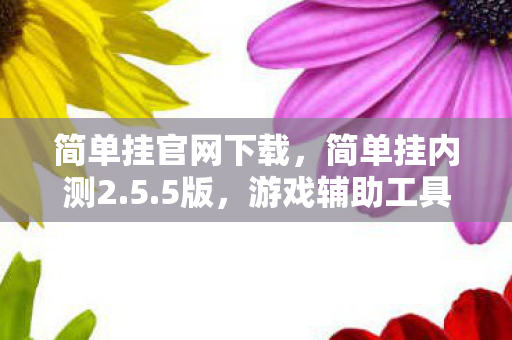 简单挂官网下载，简单挂内测2.5.5版，游戏辅助工具的新飞跃