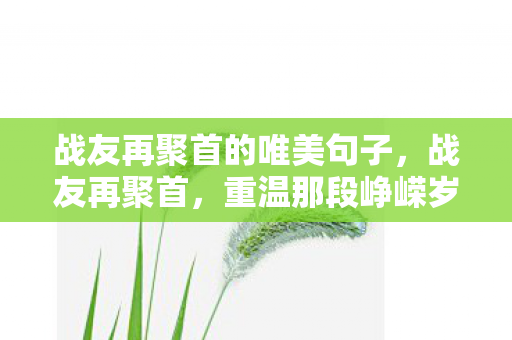 战友再聚首的唯美句子，战友再聚首，重温那段峥嵘岁月