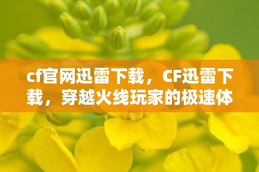 cf官网迅雷下载，CF迅雷下载，穿越火线玩家的极速体验