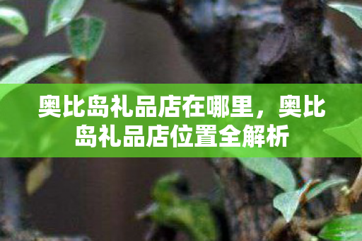 奥比岛礼品店在哪里，奥比岛礼品店位置全解析
