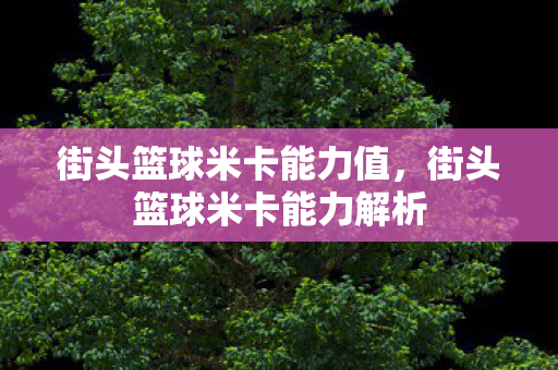 街头篮球米卡能力值，街头篮球米卡能力解析