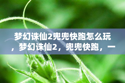 梦幻诛仙2兜兜快跑怎么玩，梦幻诛仙2，兜兜快跑，一场关于冒险与友情的奇妙旅程