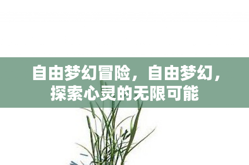 自由梦幻冒险，自由梦幻，探索心灵的无限可能