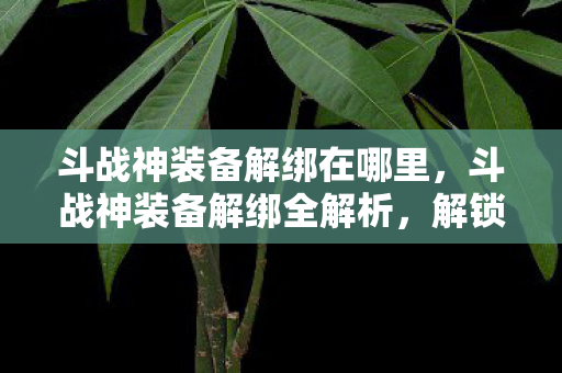 斗战神装备解绑在哪里，斗战神装备解绑全解析，解锁自由交易的秘密