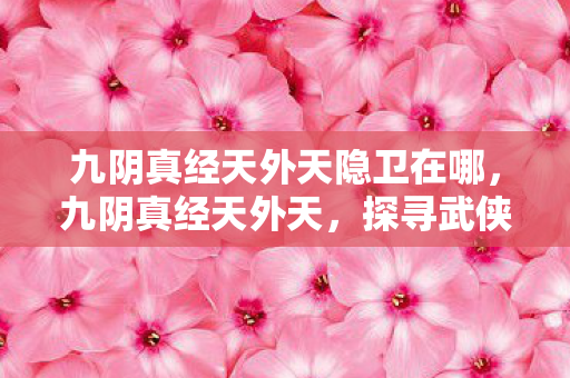 九阴真经天外天隐卫在哪，九阴真经天外天，探寻武侠世界的终极奥秘