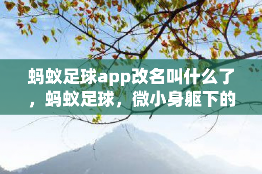 蚂蚁足球app改名叫什么了，蚂蚁足球，微小身躯下的足球梦