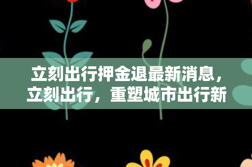 立刻出行押金退最新消息，立刻出行，重塑城市出行新体验