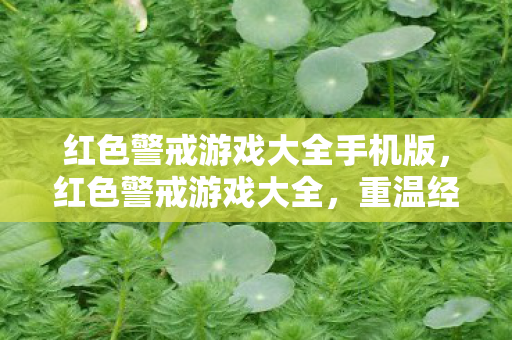 红色警戒游戏大全手机版，红色警戒游戏大全，重温经典，挑战未来