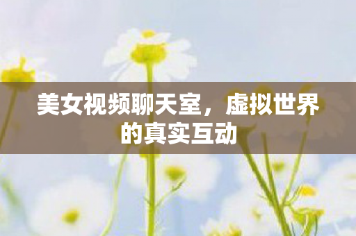 美女视频聊天室，虚拟世界的真实互动