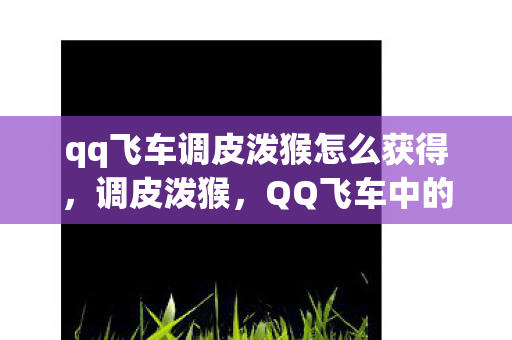 qq飞车调皮泼猴怎么获得，调皮泼猴，QQ飞车中的速度与激情