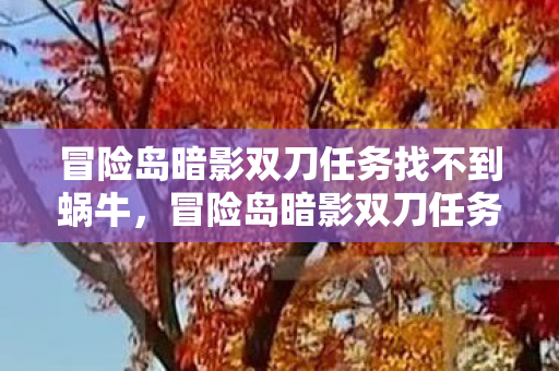 冒险岛暗影双刀任务找不到蜗牛，冒险岛暗影双刀任务全解析，解锁隐藏剧情与强力技能