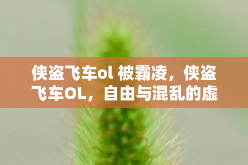 侠盗飞车ol 被霸凌，侠盗飞车OL，自由与混乱的虚拟世界