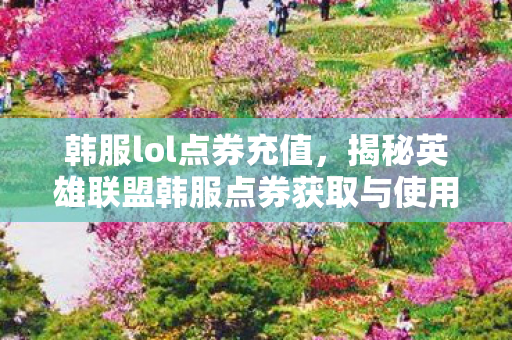 韩服lol点券充值，揭秘英雄联盟韩服点券获取与使用全攻略