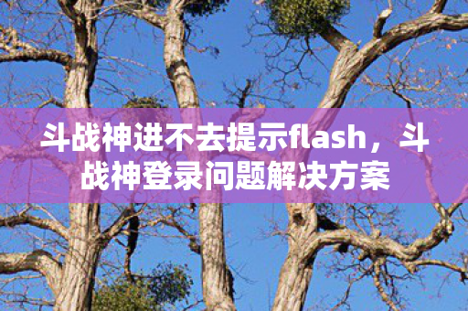 斗战神进不去提示flash，斗战神登录问题解决方案
