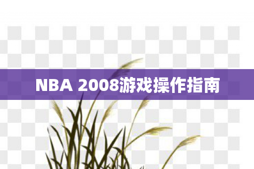 NBA 2008游戏操作指南