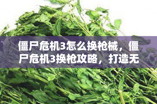 僵尸危机3怎么换枪械，僵尸危机3换枪攻略，打造无敌火力，横扫丧尸军团