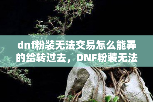 dnf粉装无法交易怎么能弄的给转过去，DNF粉装无法交易，背后的故事与影响