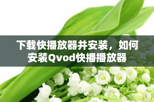 下载快播放器并安装，如何安装Qvod快播播放器