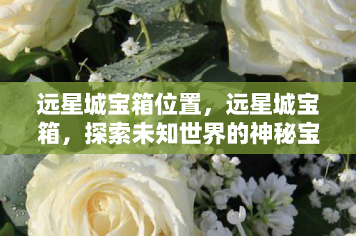 远星城宝箱位置，远星城宝箱，探索未知世界的神秘宝藏