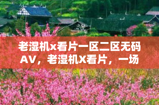 老湿机x看片一区二区无码AV，老湿机X看片，一场关于经典与回忆的怀旧之旅