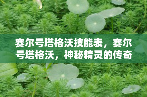 赛尔号塔格沃技能表，赛尔号塔格沃，神秘精灵的传奇故事