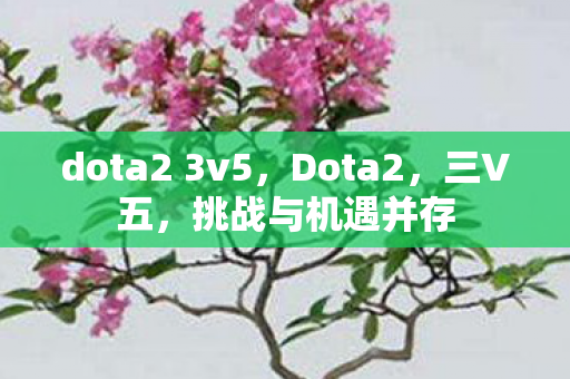 dota2 3v5，Dota2，三V五，挑战与机遇并存