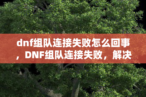 dnf组队连接失败怎么回事，DNF组队连接失败，解决之道与原因分析