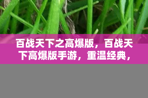 百战天下之高爆版，百战天下高爆版手游，重温经典，再战江湖