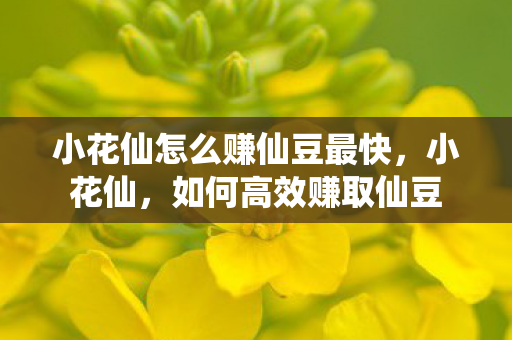 小花仙怎么赚仙豆最快，小花仙，如何高效赚取仙豆