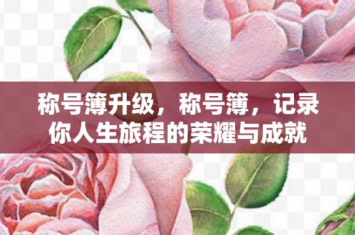 称号簿升级，称号簿，记录你人生旅程的荣耀与成就