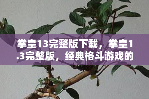 拳皇13完整版下载，拳皇1.3完整版，经典格斗游戏的巅峰之作